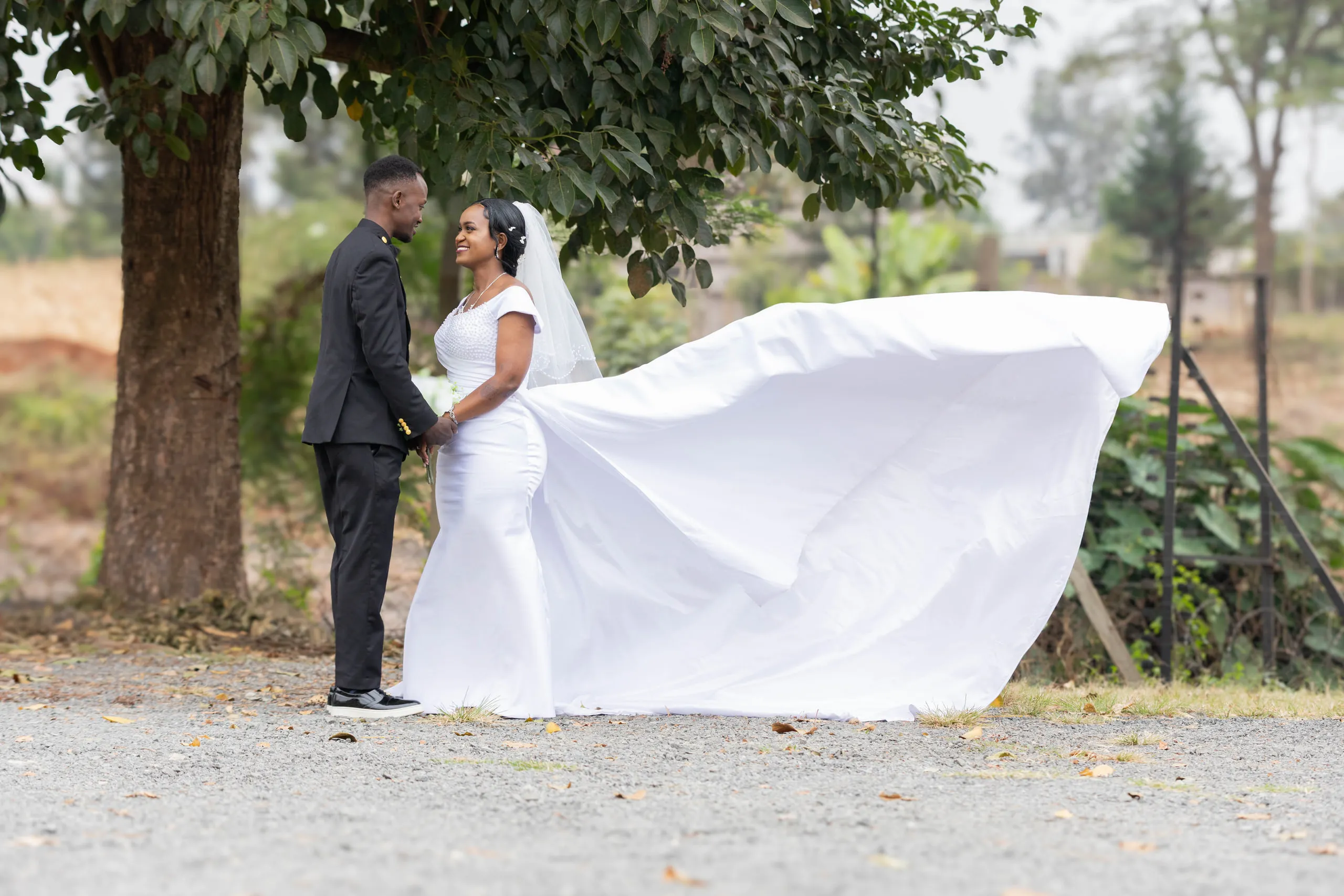 Groom watching the wind lift the bride's train