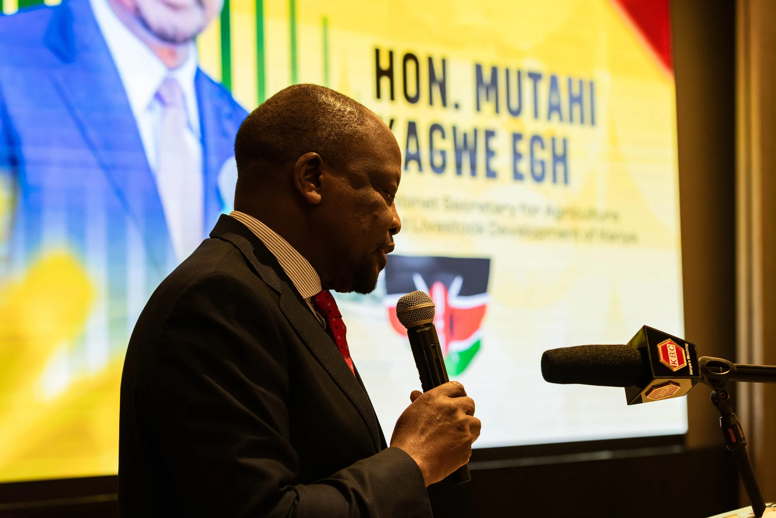 Speaker in a dark suit speaking into a microphone beside a large projected presentation