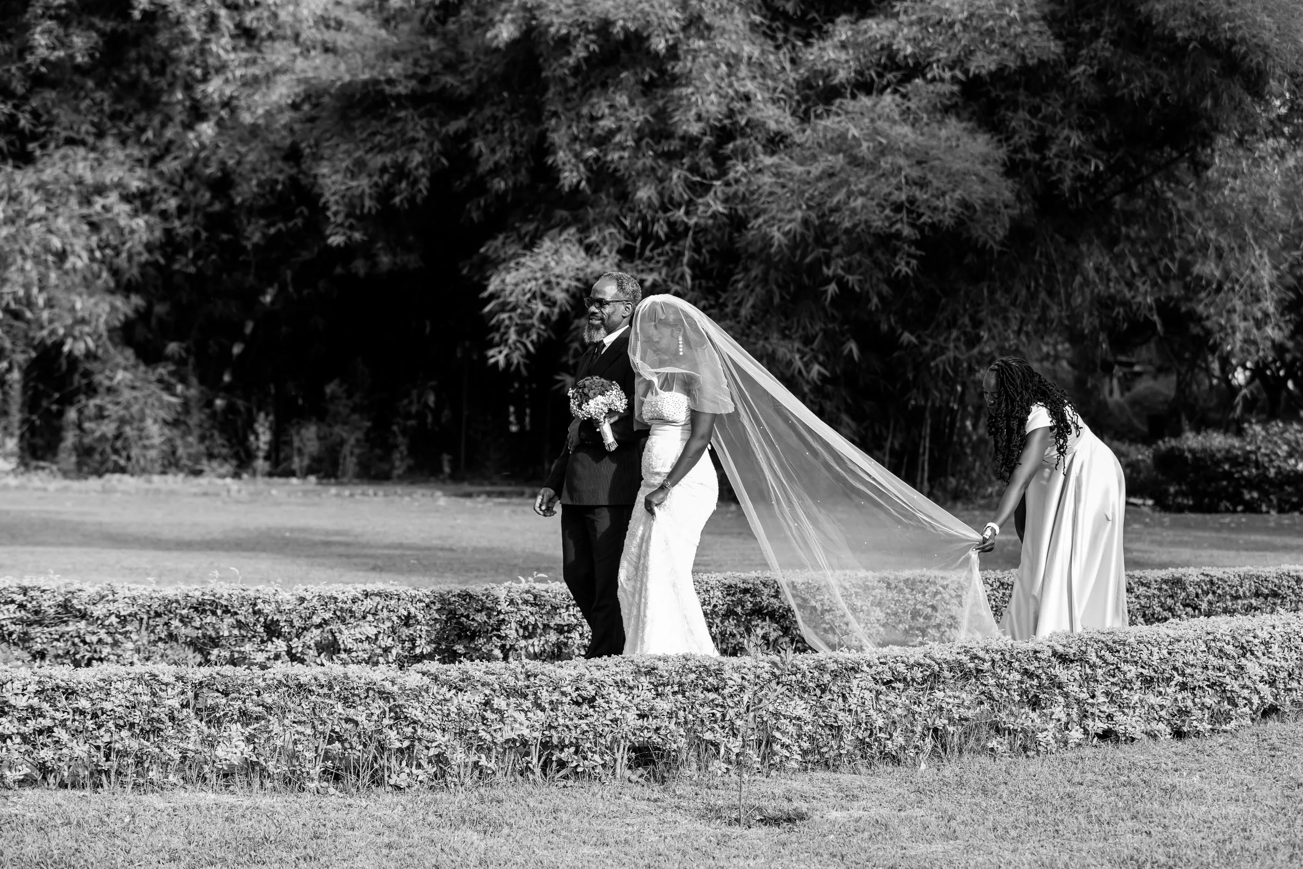 A bridesmaid carrying the long veil as the bride crosses a lawn, in black and white